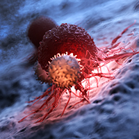 Illustration einer Krebszelle