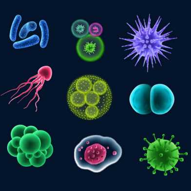 Symbolische Illustration verschiedener Mikroorganismen (ShutterStock)