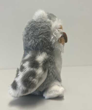 Owl right