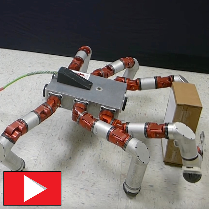 Mutli-limbed robot video