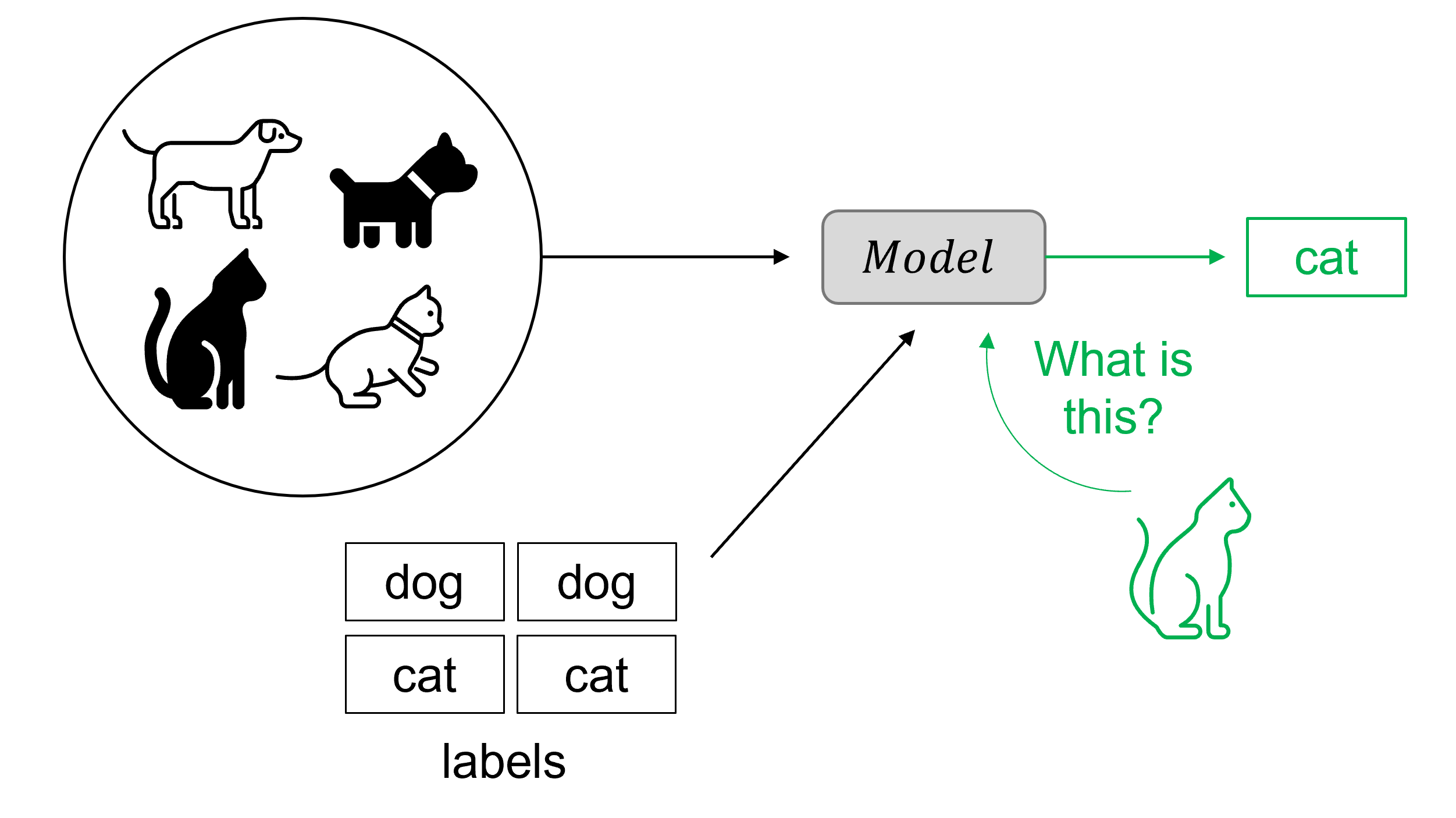 2 arrows going form either images of cats and dogs, or labels(anmes) into a squre called "Model". image of a green cat also point to the model box. Green arrow coming out of the model box onto a label saying cat
